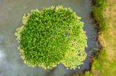 Bild - Grund genug für neue Träume – Wohnen mit Weitblick auf einem 5.644 m² großen Naturareal