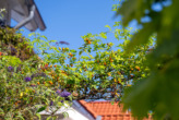 Impressionen - Jahrhundertwände in die Gegenwart geholt: Historische Stadtvilla in bevorzugter Lage nahe der Ems!